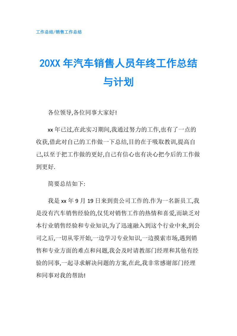 20XX年汽车销售人员年终工作总结与计划.doc_第1页