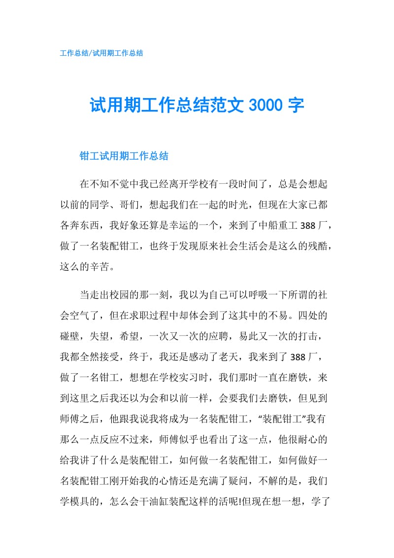 试用期工作总结范文3000字.doc_第1页