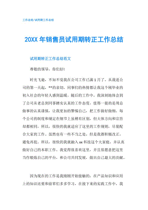 20XX年销售员试用期转正工作总结.doc