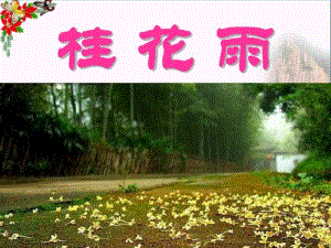 桂花雨PPT优秀课件3.pdf