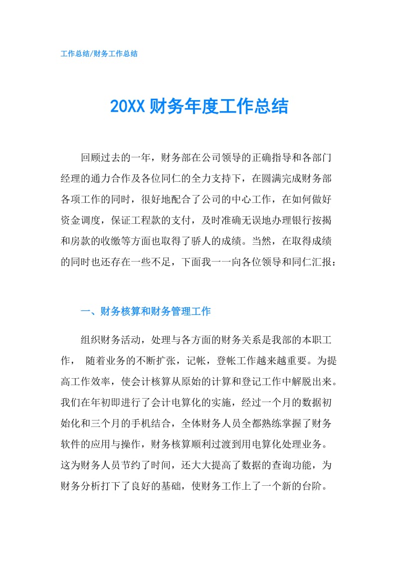 20XX财务年度工作总结.doc_第1页