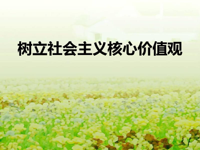 德育班会《社会主义核心价值观主题班会——ppt》.pdf_第1页