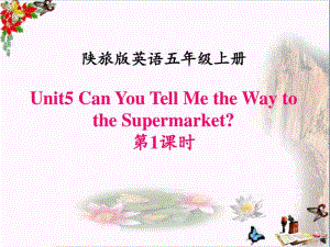 CanYouTellMetheWaytotheSupermarketPPT.pdf