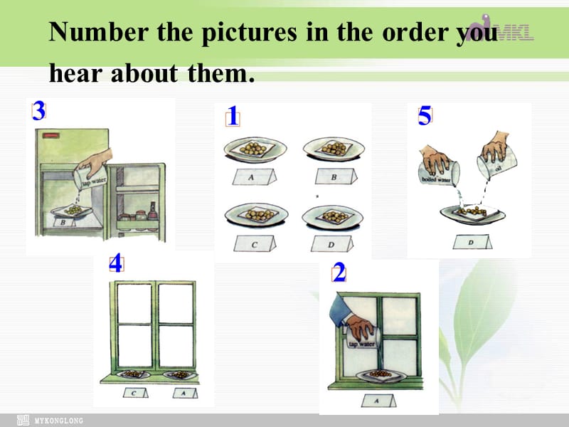 高中英语 Unit4Exploring plants-Writing课件 新人教选修9.ppt_第3页