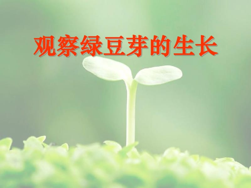 《观察绿豆芽的生长》生物与环境PPT课件.pdf_第1页