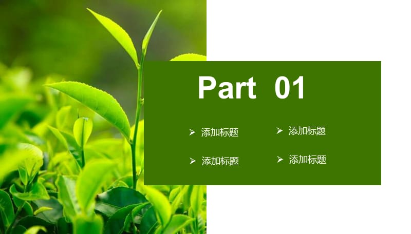 绿色商业通用PPT.pptx_第3页