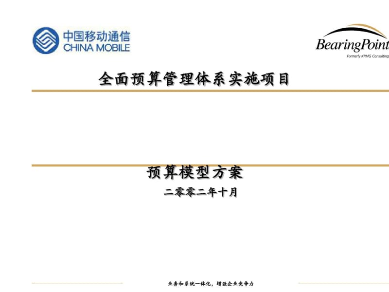 全面预算管理体系预算模型方案(PPT42张).pdf_第1页