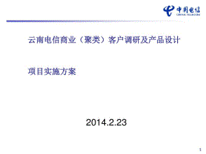 中国电信市场调研方案(PPT38张).pdf