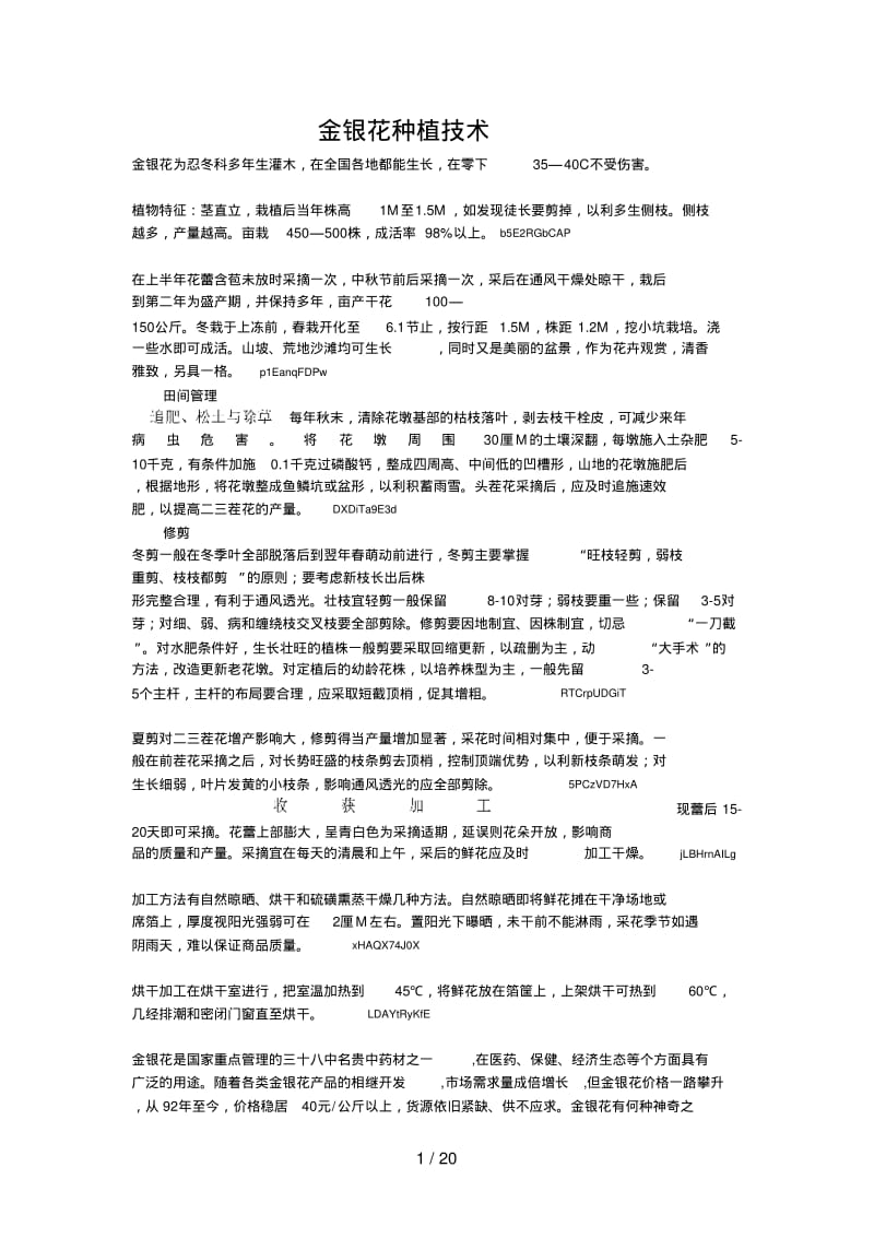 金银花种植技术.pdf_第1页