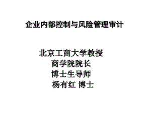 企业内部控制与风险管理审计教材(PPT65张).pdf