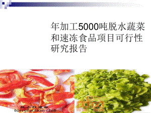 年加工5000吨脱水蔬菜和速冻食品项目研究报告(PPT43张).pdf