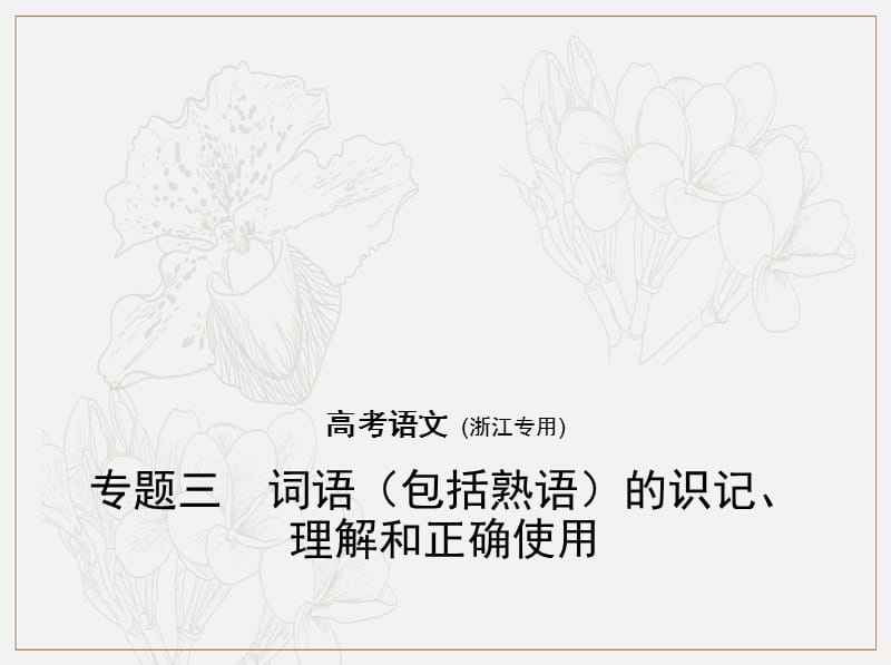 2019年高考语文专题：三词语（包括熟语）的识记、理解和正确使用课件.pptx_第1页