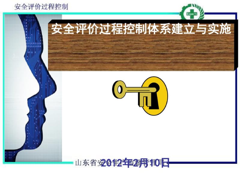 安全评价过程控制体系建立与实施讲义(PPT65张).pdf_第1页