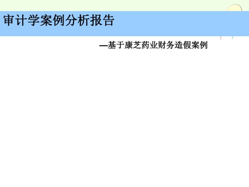 审计案例分析报告(PPT37张).pdf_第1页