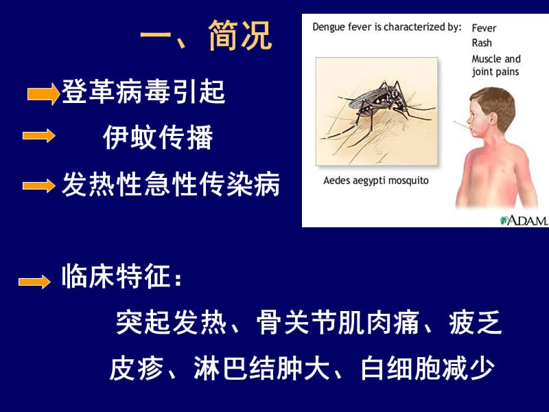 登革热DengueFever.ppt_第2页