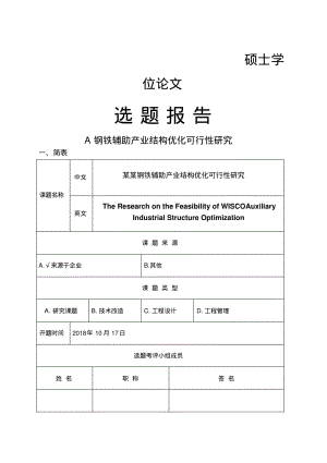 钢铁辅助产业结构优化可研开题报告.pdf