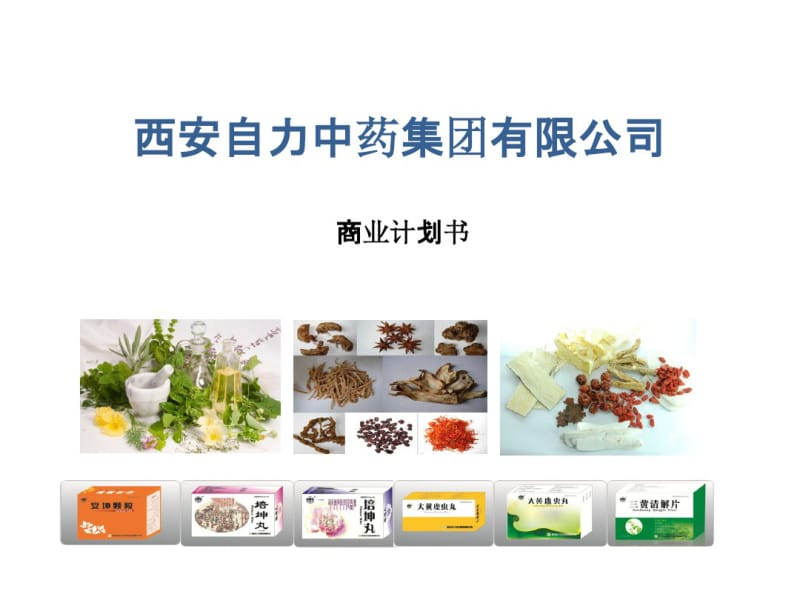 某中药集团有限公司商业计划书(PPT44张).pdf_第1页