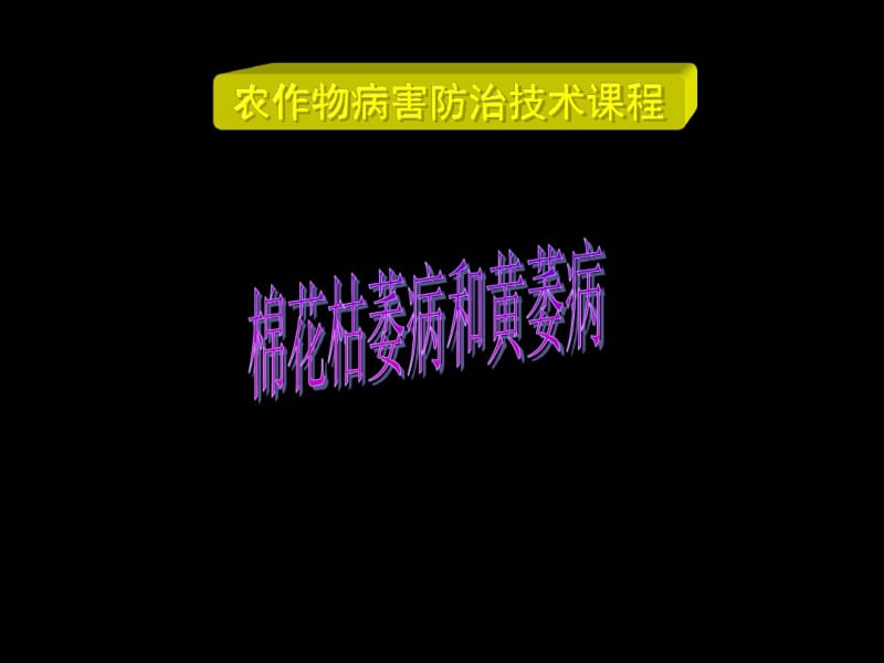 区别点棉花枯萎病棉花黄萎病.pdf_第1页