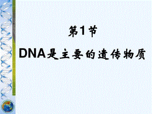 DNA是主要的遗传物质课件.pdf