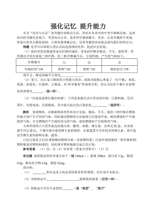 [最新]鲁教版九年级化学：第10单元 强化记忆 提升能力.doc