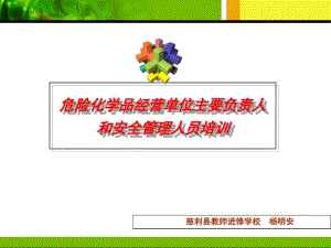 危险化学品经营单位负责人和安全管理人员培训(PPT40张).pdf