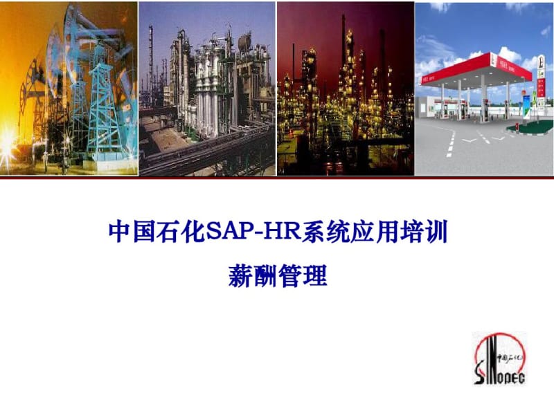 中国石化SAP-HR系统应用培训—薪酬管理(共30张PPT).pdf_第1页