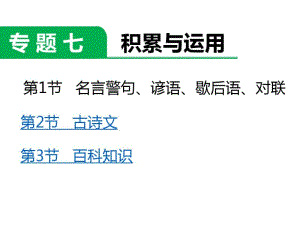 六年级下册教学课件-小升初专题复习七积累与运用(共27张PPT)全国通用.pdf