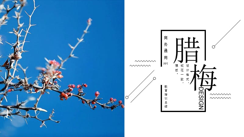 小清新商务工作计划汇报总结PPT模板 (16).pptx_第1页