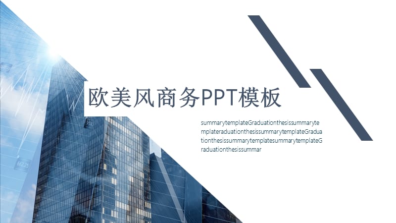 欧美风商务总结计划多图表PPT模板.pptx_第1页