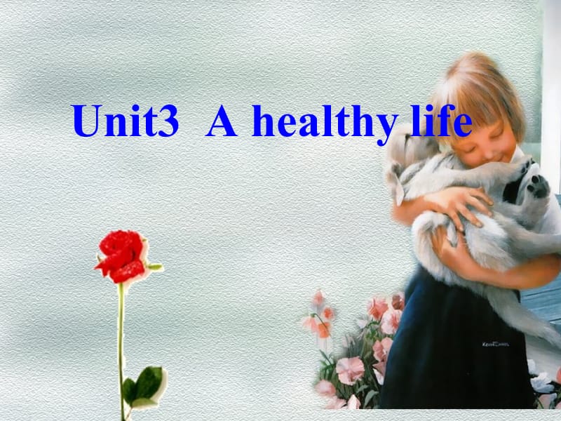 选修八 3.7《Unit 3　Warming-up &amp Pre-reading》.ppt_第2页