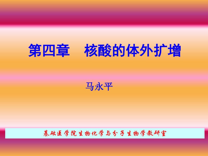 核酸的体外扩增.pdf_第1页