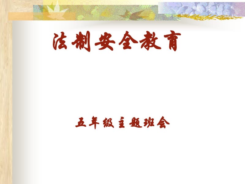 法制安全教育课件(PPT45张).pdf_第1页