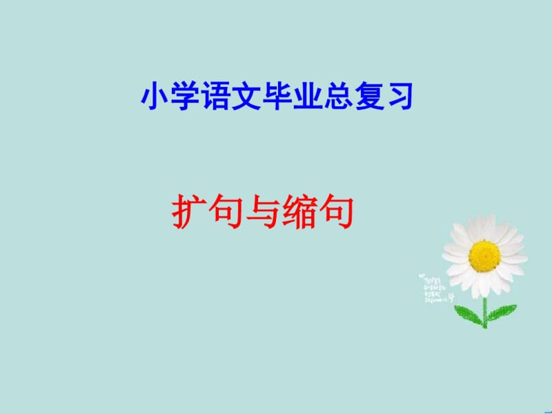 【小升初专题】小升初语文综合复习之缩句、扩句PPT课件.pdf_第1页