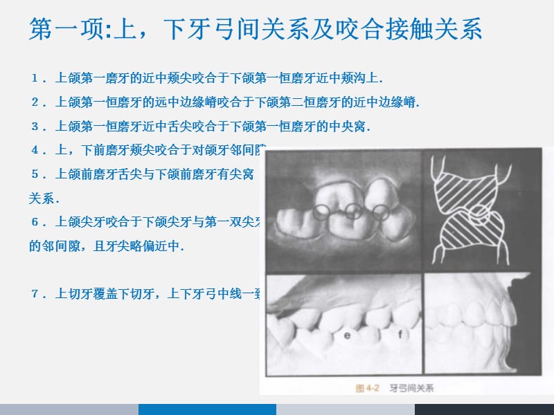 Andrews正常he的六项标准.ppt_第2页