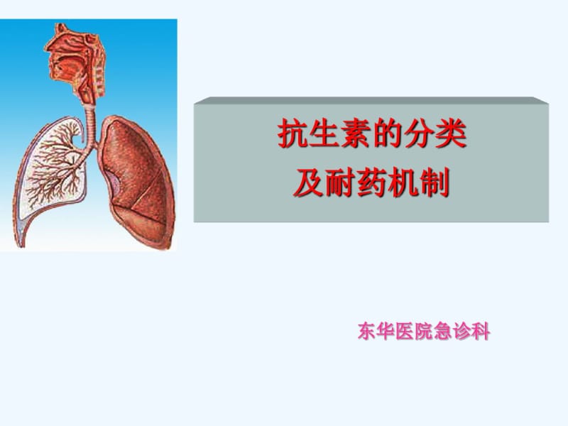 抗生素的分类及耐药机制.pdf_第1页