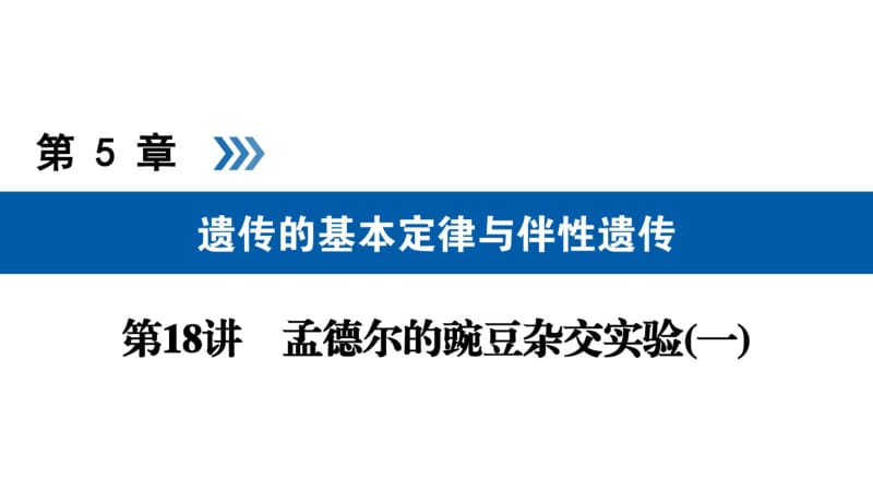 2019版高考生物大一轮复习第18讲孟德尔的豌豆杂交实验(一)优选课件.pdf_第1页