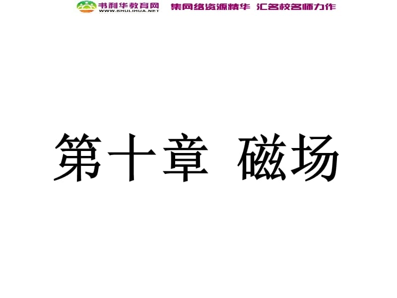 浙江2020届高考物理新人教版总复习课件：20 磁场及其描述 (数理化网).ppt_第1页