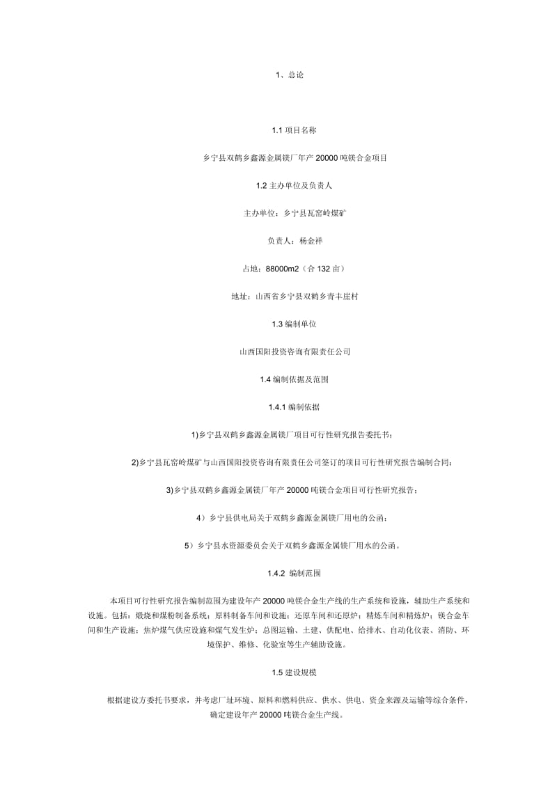 20000吨镁合金项目可研报告.doc_第1页