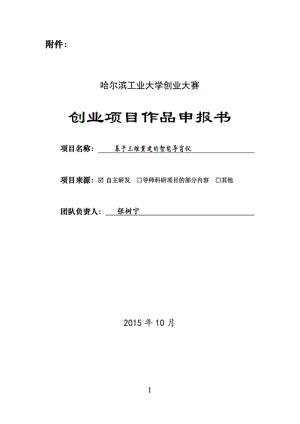 基于三维重建的智能导盲仪商业计划书.pdf