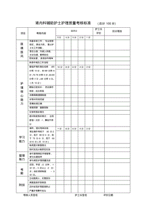 各级护士绩效考核表标准.pdf