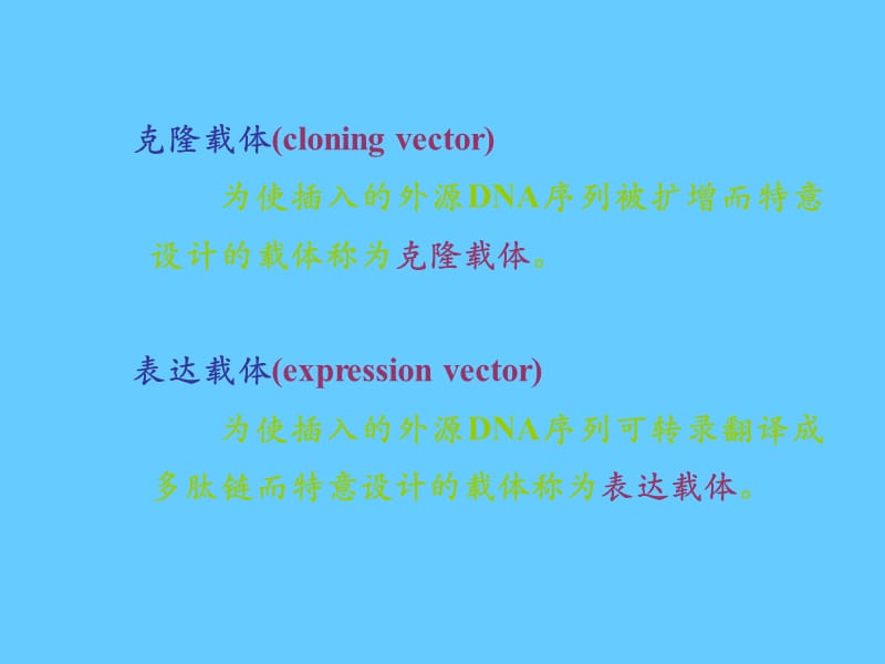 基因工程载体.ppt_第3页