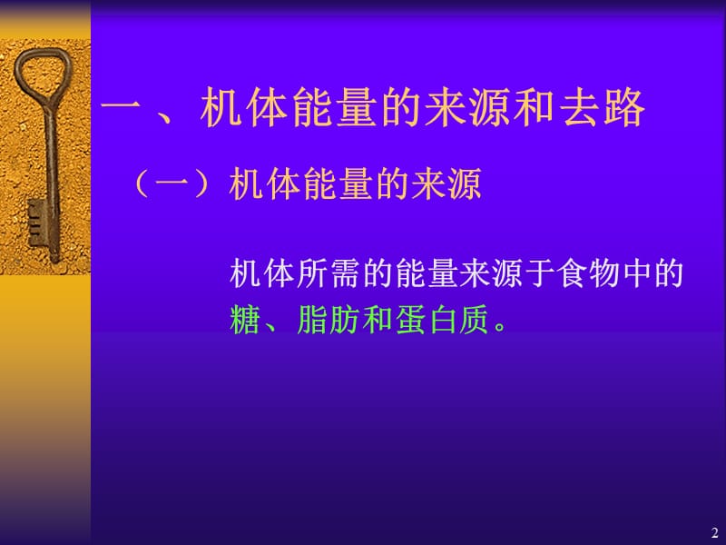 能量代谢和体温.ppt_第2页