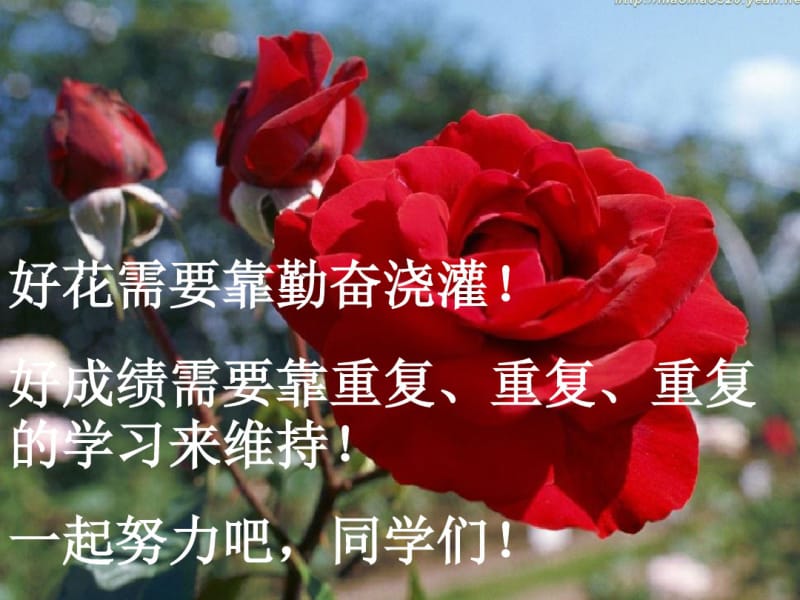 qlj免疫调节复习.pdf_第1页