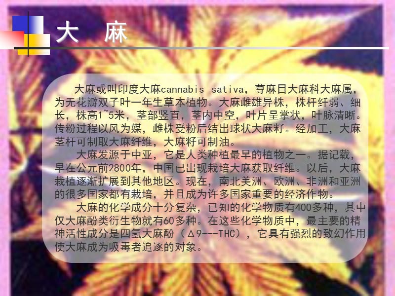 珍爱生命,远离毒品.ppt_第3页