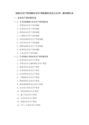 各级安全生产责任制、安全生产规章制度目录及正式文件、操作规程目录.pdf