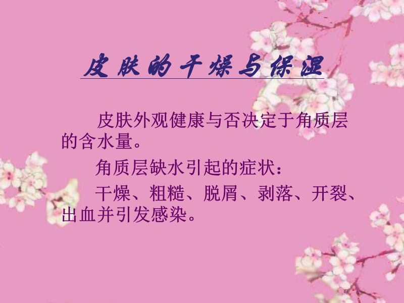 特殊问题皮肤的养护.ppt_第2页