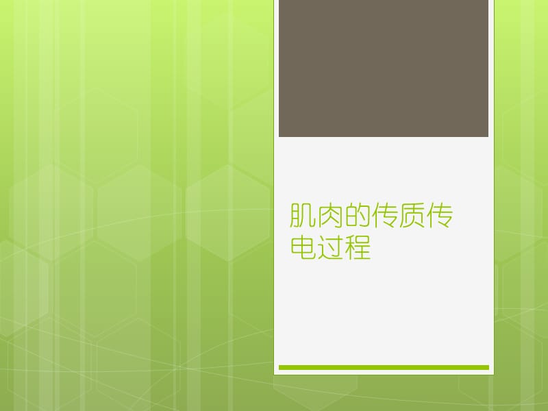 肌肉的传质传电过程.ppt_第1页