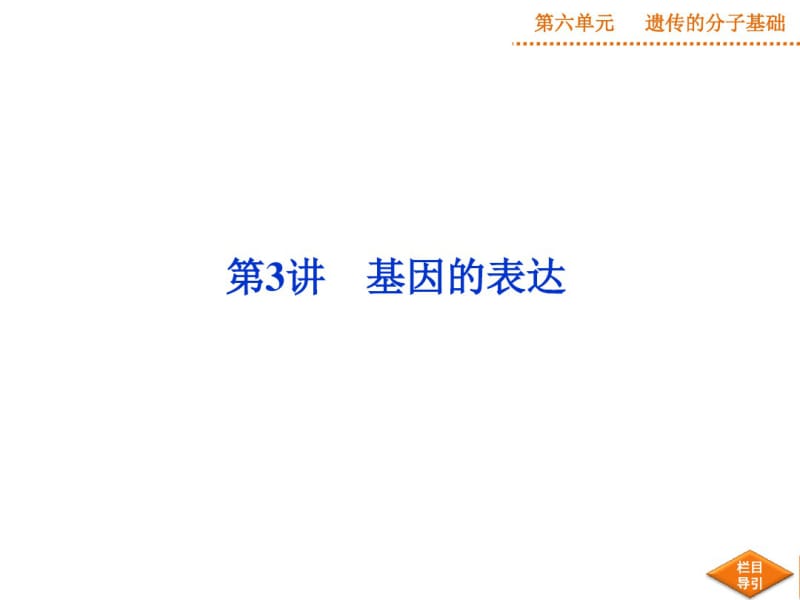 高三复习基因的表达.pdf_第1页