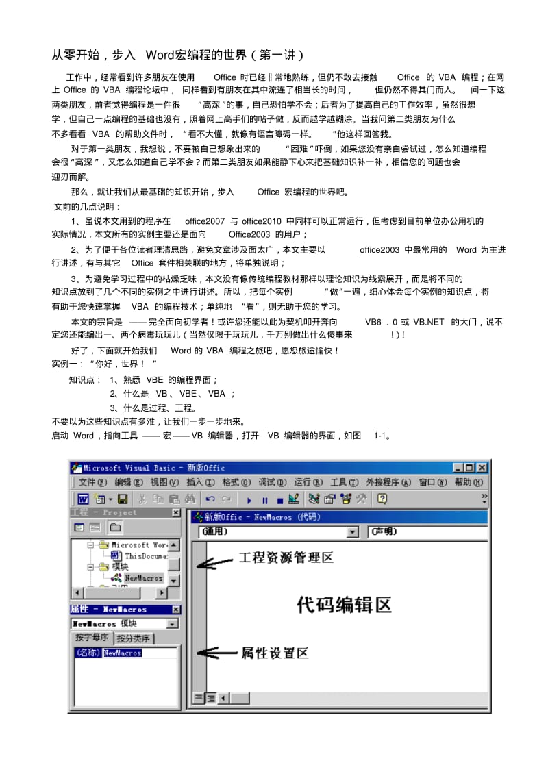 WORD-VBA编程-从零开始学VBA剖析.pdf_第1页