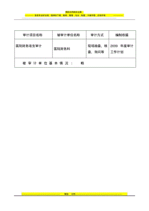 医院财务收支审计实施方案.pdf